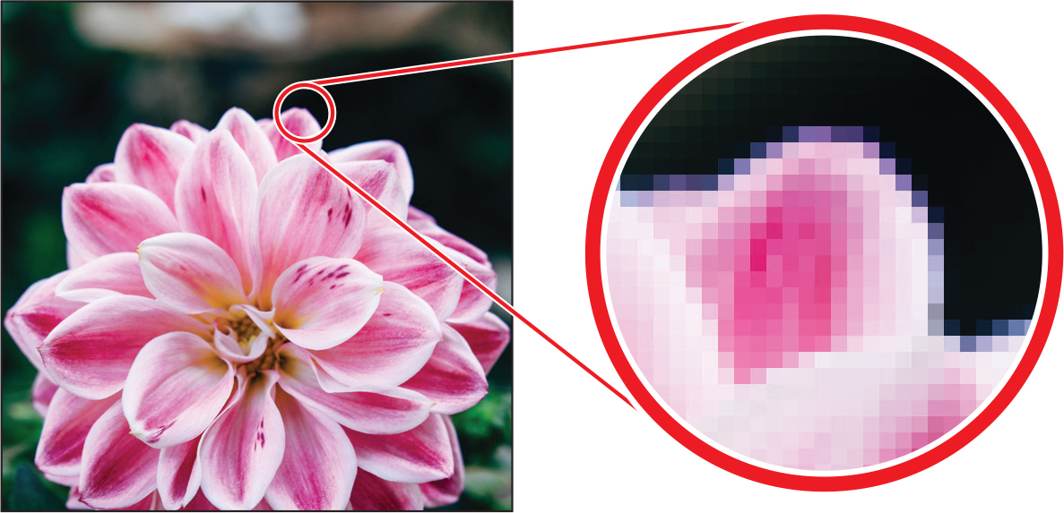 A photograph of a flower. Inset shows a part of the flower in zoomed view. The zoomed view is not clear. The text below reads, example of a raster image and a zoomed-in portion to show the pixels.