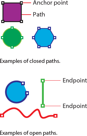An illustration of three shapes with closed paths and three shapes with open paths. The three shapes with closed paths are a square, a circle, and a hexagon. The corners are marked. A corner of the square is labeled anchor point and an edge is labeled path. The three shapes with open paths are an incomplete circle, an irregular wave pattern, and a vertical line. The endpoints of the vertical line are labeled endpoint.