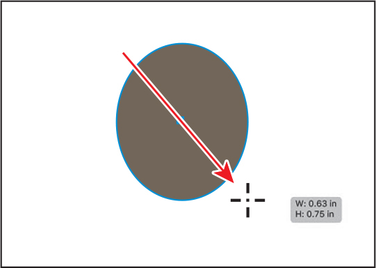 A screenshot shows an ellipse drawn with an ellipse tool. The measurement label reads, w, 0.63 inches, h, 0.75 inches.