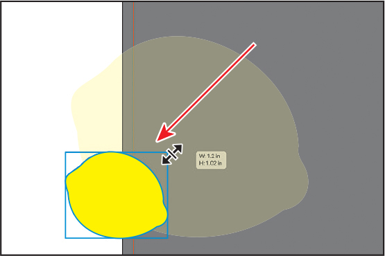 A screenshot presents the action of rescaling the traced lemon. Here, the lemon's size is being reduced to a smaller size.