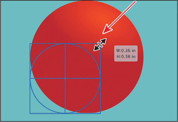 A screenshot of the art board shows a circle with a resize tool to reduce the circle to half its size. It is indicated by an outline of a circle within a square box. An arrow points to the resize tool and the gray measurement next to the tool reads, W: 0.36 inches and H: 0.36 inches.