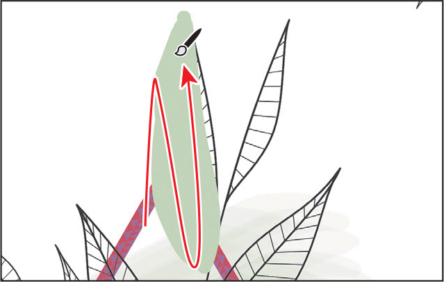 A screenshot of an artwork in Outline mode depicts drawing with the Blob Brush tool.