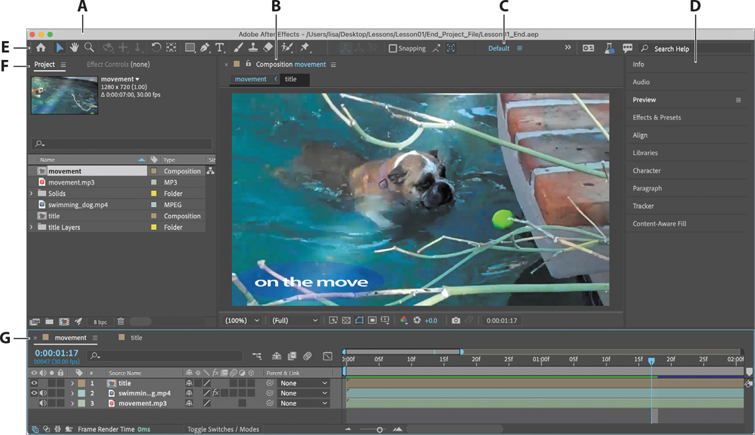 A screenshot of the aftereffects main window with the photo of a swimming dog in the work area.