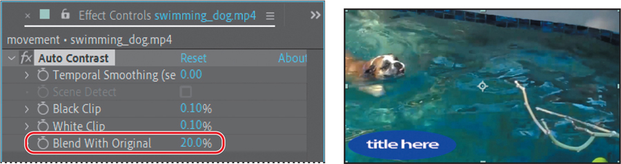 Two screenshots showing the Effects controls panel and the footage of a swimming dog in the composition panel of Adobe after effects window.