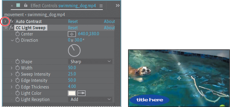 Two screenshots showing the effects control panel and the footage of a swimming dog in the composition panel of Adobe after effects window.
