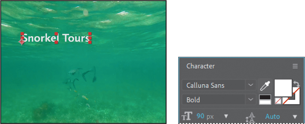 A screenshot showing the composition panel with an under ocean image and the character panel of the Adobe after effects window.