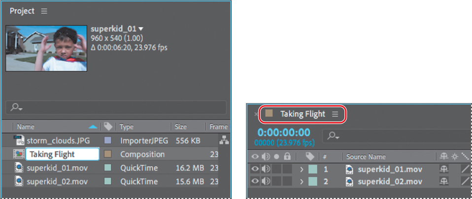 A project panel and a taking flight timeline panel are shown.