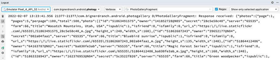 Flickr JSON in Logcat