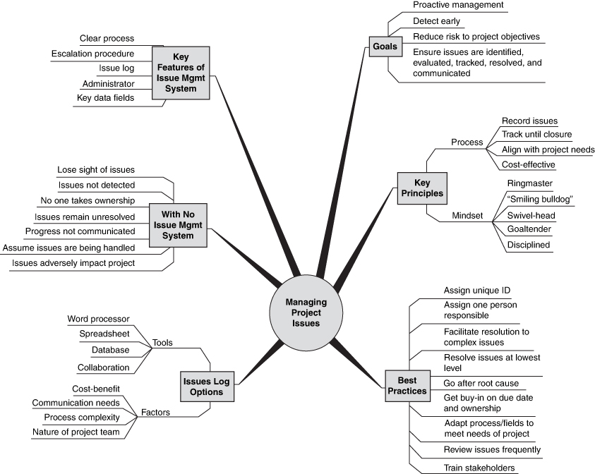 An illustration shows managing project issues.