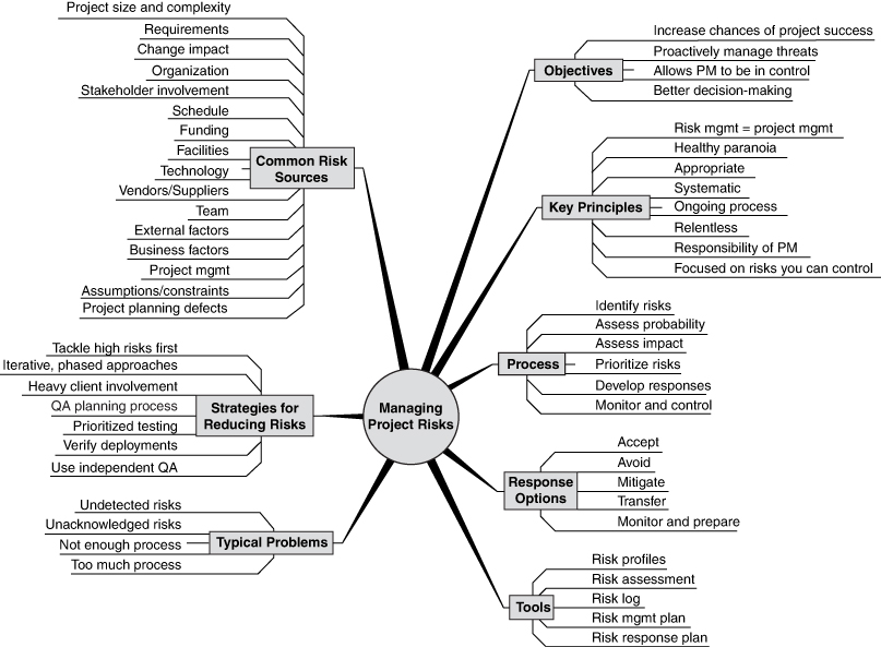 An illustration shows an overview of managing project risks.