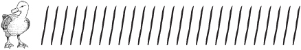 A drawing of one duck and 27 scratch marks.
