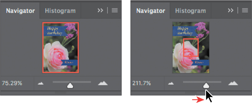Zooming in the Navigator panel