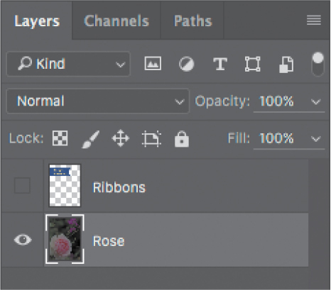 Layers panel with Rose layer selected