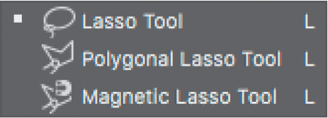 Tool group containing lasso tools
