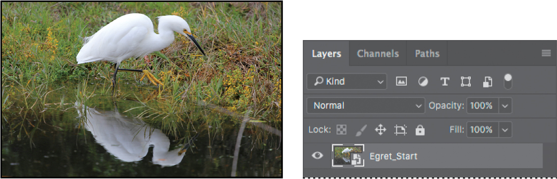 Selecting egret sample image in Layers panel