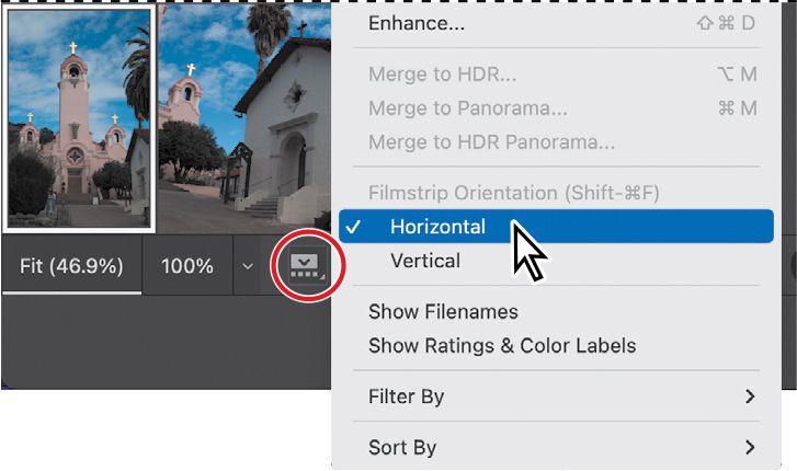 Filmstrip menu open with Horizontal command selected