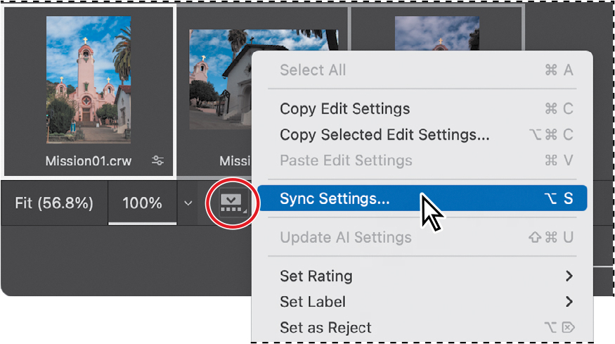 Filmstrip menu open with Sync Settings command selected