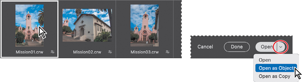 Mission01.crw image selected Choosing Open as Object command from the Open button menu