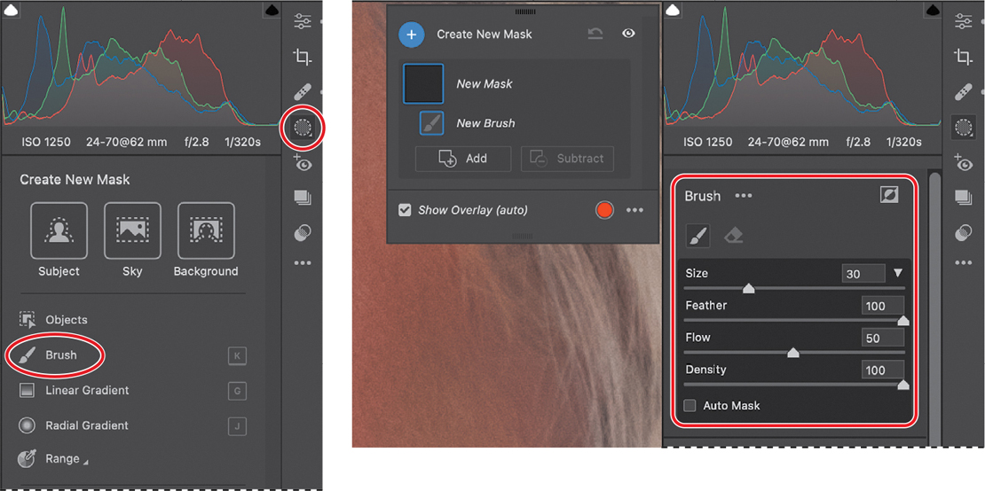 Opening the Masking tools by clicking the Masking icon Masks panel and options for a Brush mask