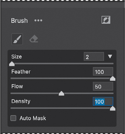 Setting up options for a Brush mask