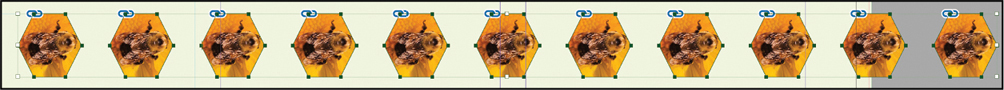 A figure shows repeated image of the bee on the flower with an exact amount of space between them.
