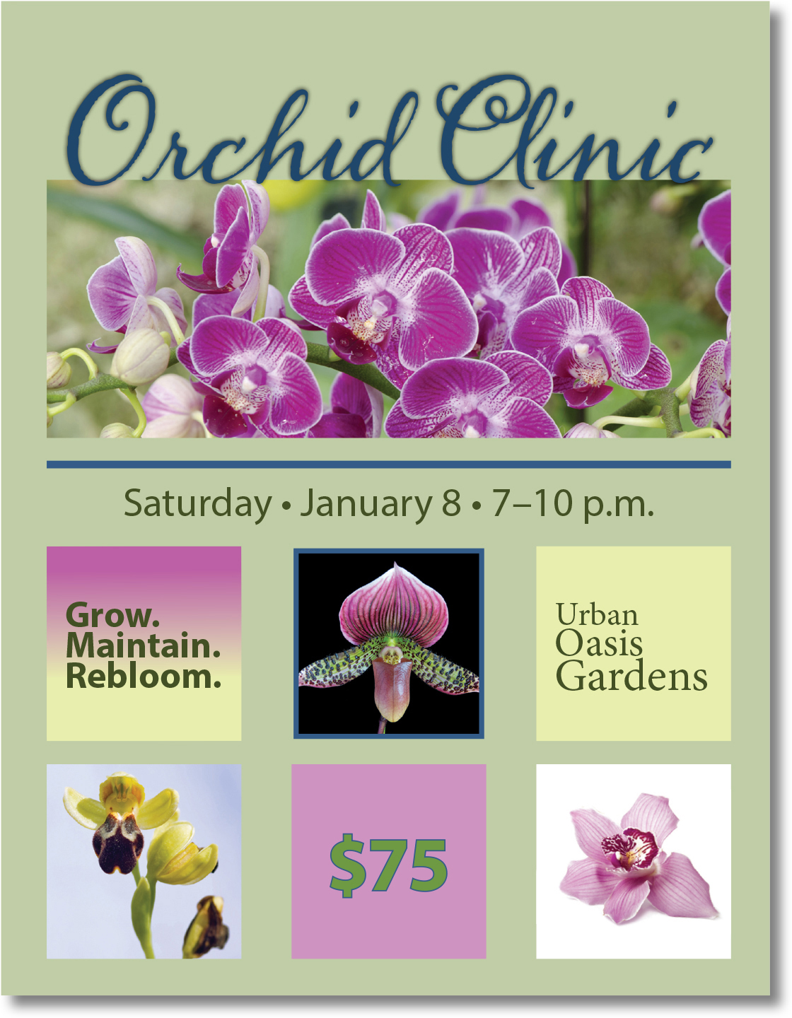 A figure shows a page with heading Orchid Clinic.