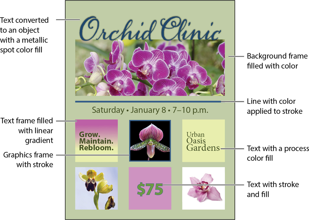 A figure shows a page with heading Orchid Clinic.