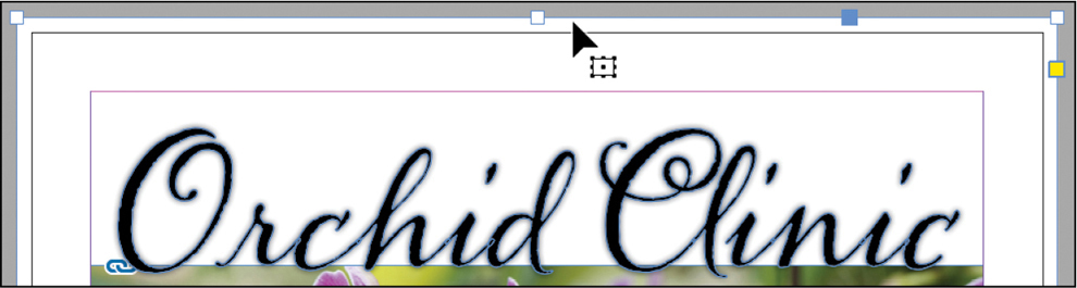 A figure shows a large text frame that reads, Orchid Clinic.