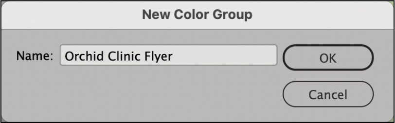 A figure shows dialog box of new color group