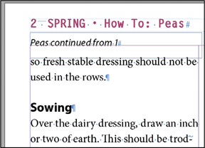 A snapshot of a window displaying two paragraphs. The text on the upper left reads, 2 spring, how to, peas. Peas continued from 1.