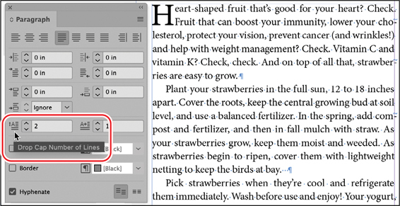 A snapshot of the paragraph panel menu. The drop cap number of lines field is selected as type 2. It is highlighted.