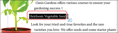 A snapshot of the second subheading of the second page. The subhead, heirloom vegetable seeds, is selected and highlighted.