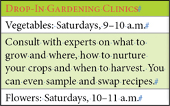 A table of drop-in gardening clinics with one column and three rows.