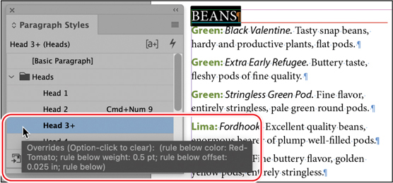 A snapshot of the paragraph styles panel menu.