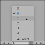 A snapshot of the page field with the following options, 5, 6, 1, 2, 3, 4, and A-Parent. 6 is selected. The cursor points at 1.