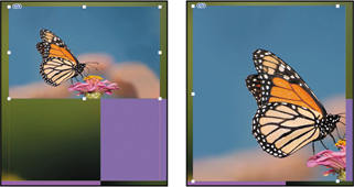 Two snapshots. 1. The screen displaying the photograph of a butterfly on a flower. The picture is not fit to the column provided. 2. The screen displaying the same photograph after extending it to fit the screen.
