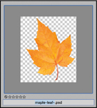 A screenshot shows the thumbnail of the maple leaf, with its name along the bottom. The name is highlighted by a blue box enclosing it.