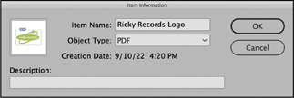 A screenshot shows the Item Information dialog. The first field item name is set to Ricky Records Logo.