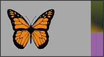 A screenshot shows a butterfly graphic on a pasteboard.
