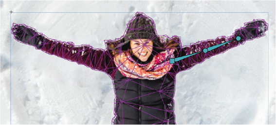 A screenshot shows a close-up view of a bitmap of a woman on a snow background.
