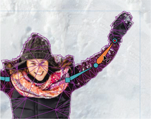 A screenshot shows a close-up view of a bitmap of a woman on a snow background.