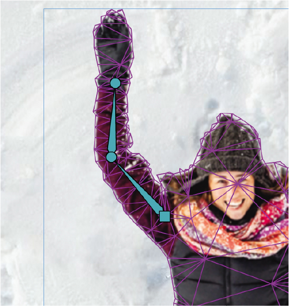 A screenshot depicts using rotation angles. It shows a close-up view of a bitmap of a woman on a snow background.