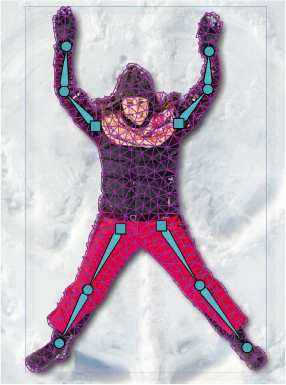 A screenshot shows a bitmap of a woman on a snow background. The joints and bones of the rig are visible along with a high mesh density over the bitmap.