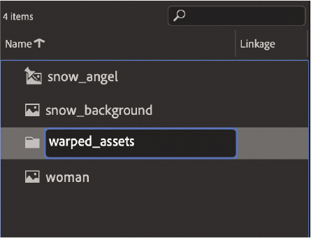 A screenshot shows the library panel with 4 folders. The folder names are snow_angel, snow_background, warped_assets, and woman. The warped_assets folder is selected.