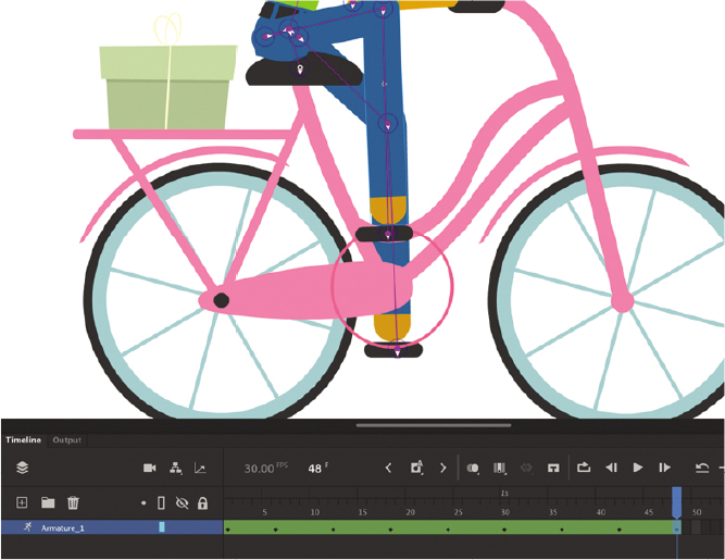 The animated woman pedaling the bicycle is shown. The bicycle has a circular part at the center and the pedals are present at either side of the circular part. The front side pedal is at the top of the circular part and the pedal at the other side is at the bottom. The timeline window displays the armature _1 layer's framework. It includes 48 frames.