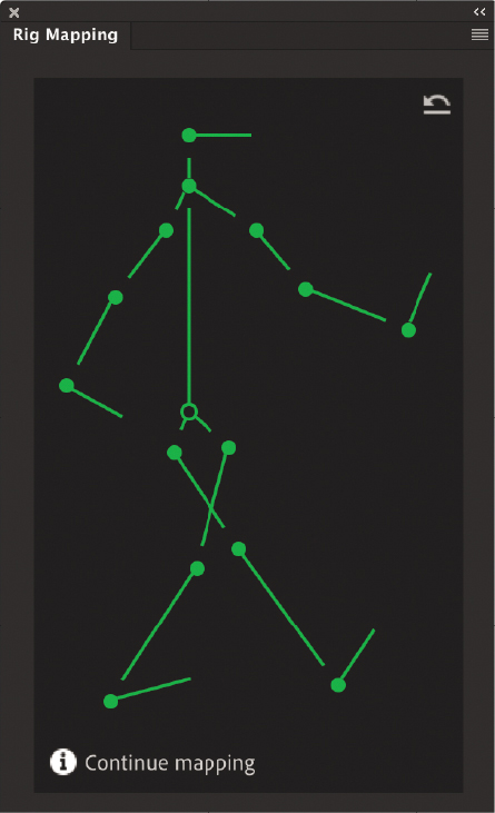 A screenshot of the Rig Mapping panel shows a skeleton structure of boy in walking position.