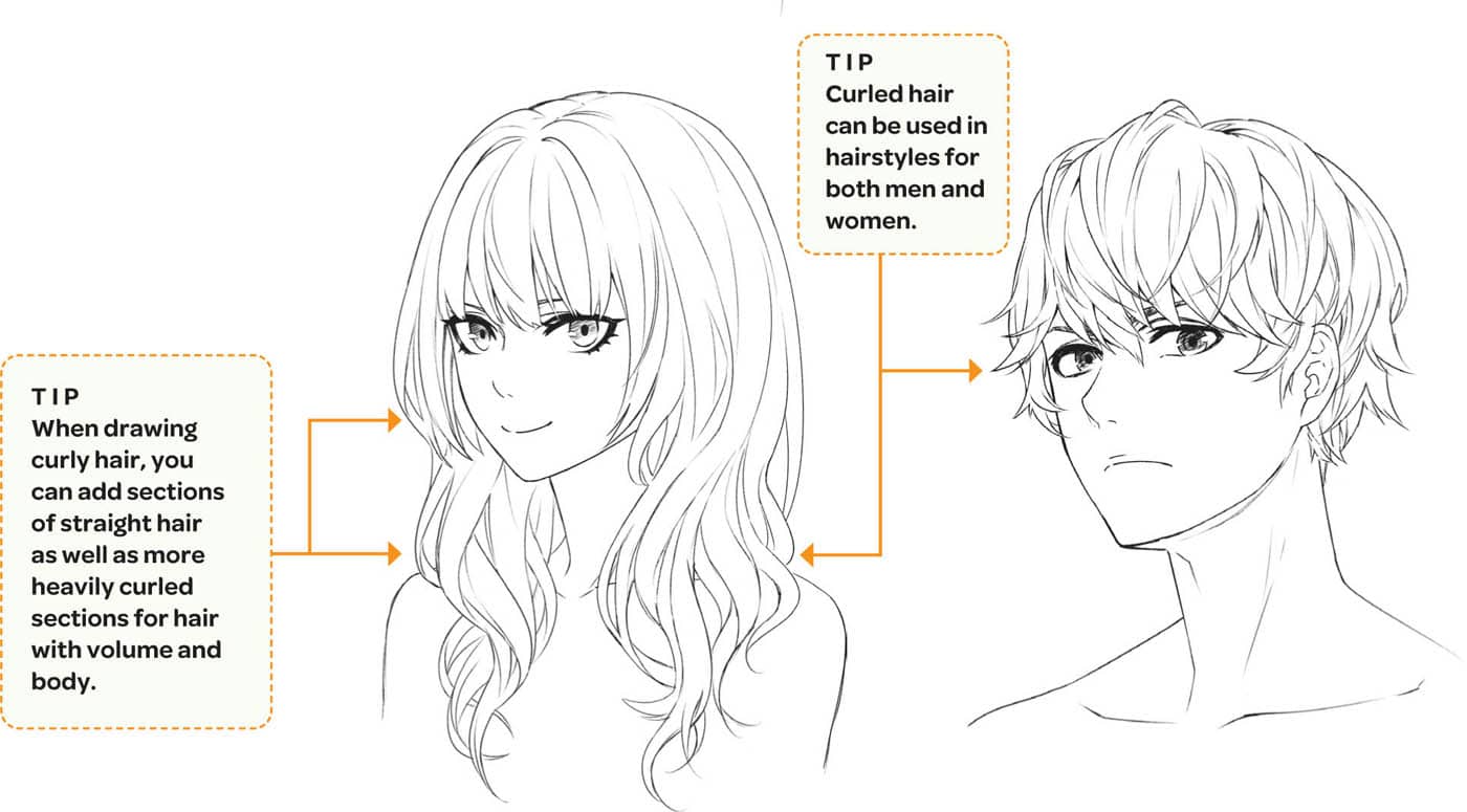 TIP When drawing curly hair, you can add sections of straight hair as well as more heavily curled sections for hair with volume and body. TIP Curled hair can be used in hairstyles for both men and women.