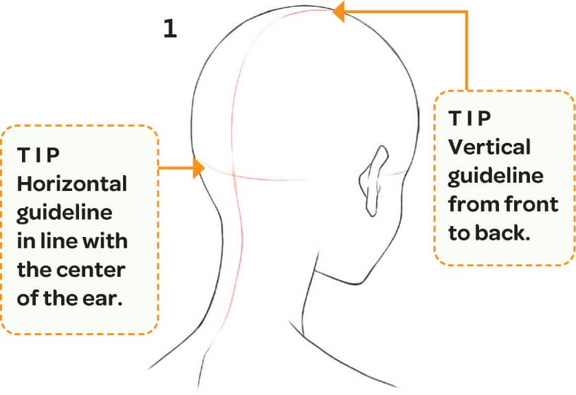 1 TIP Horizontal guideline in line with the center of the ear. TIP Vertical guideline from front to back.