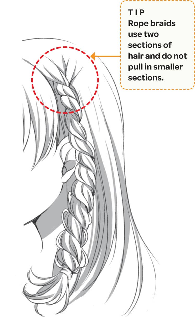 TIP Rope braids use two sections of hair and do not pull in smaller sections.