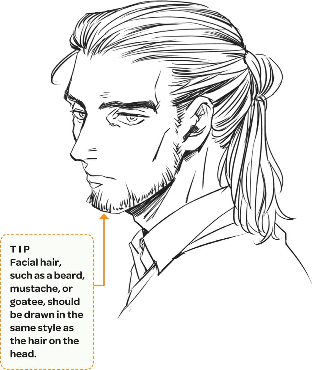 TIP Facial hair, such as a beard, mustache, or goatee, should be drawn in the same style as the hair on the head.